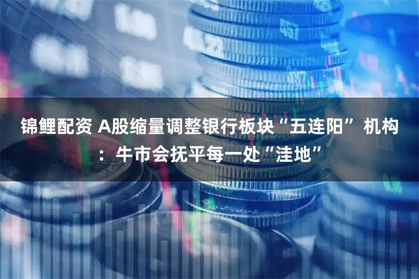 锦鲤配资 A股缩量调整银行板块“五连阳” 机构：牛市会抚平每一处“洼地”