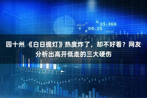 园十州 《白日提灯》热度炸了，却不好看？网友分析出高开低走的三大硬伤
