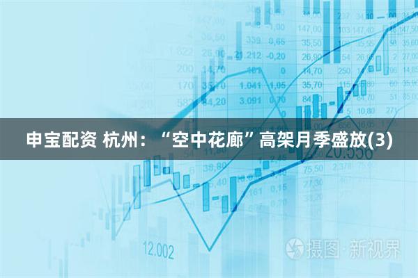 申宝配资 杭州：“空中花廊”高架月季盛放(3)
